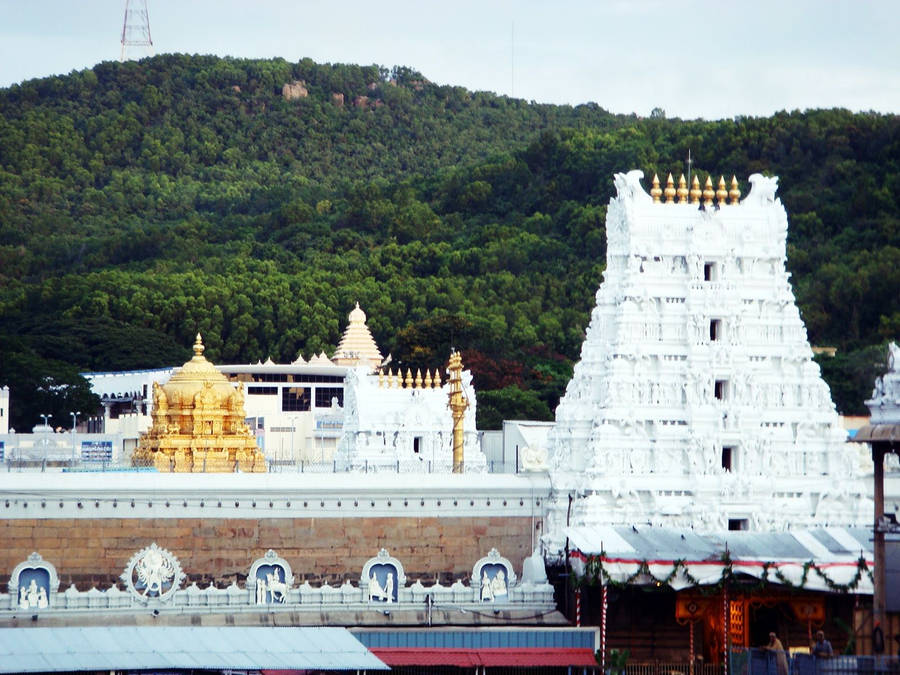 Tirumala